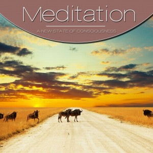 Album Meditation, Vol. Brown from Vi-Starrs