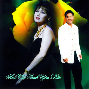 收聽Thanh Vân的Tàn Tro歌詞歌曲