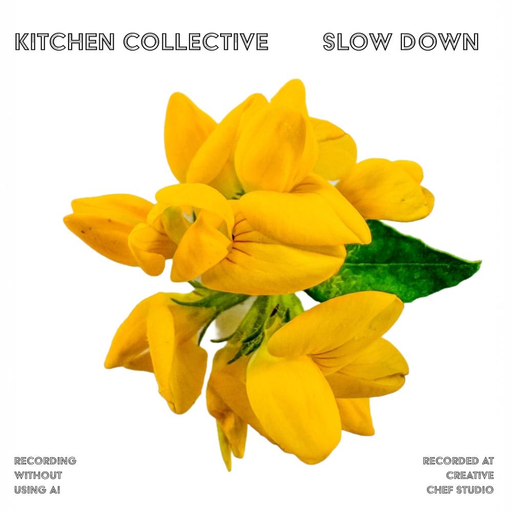 Slow Down (feat. Leonie Meine Jansen)