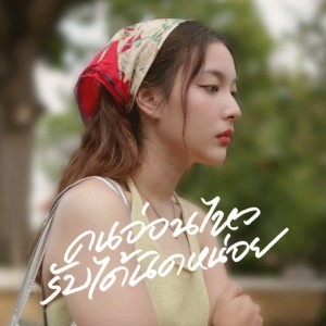 Album คนอ่อนไหวรับได้นิดหน่อย from Flukie