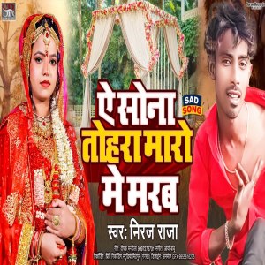收聽Niraj Raja的Ae Sona Maro Me Marab歌詞歌曲