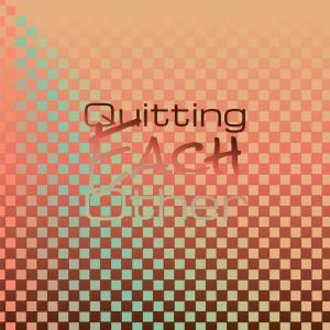 Various的专辑Quitting Each other