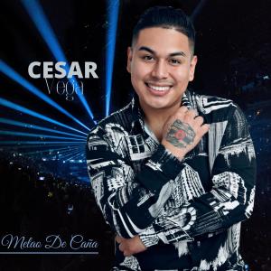 Dengarkan lagu Melao De Caña (En Vivo) nyanyian César Véga dengan lirik