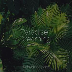 Sounds of Nature Noise的专辑Paradise Dreaming