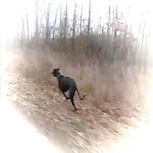 收聽Jaso的don't hold it all in! (Explicit)歌詞歌曲