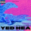 default album img