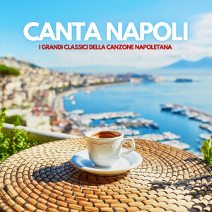 Various Artists的專輯Canta Napoli