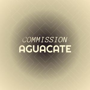 Various的专辑Commission Aguacate