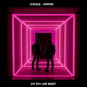 ดาวน์โหลดและฟังเพลง Do You Like Bass? พร้อมเนื้อเพลงจาก Chizzle