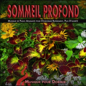 收聽Musique pour dormir的Adieu Insomnie Sommeil profond歌詞歌曲