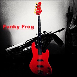收聽Mr. Ooze的Funky Frog歌詞歌曲