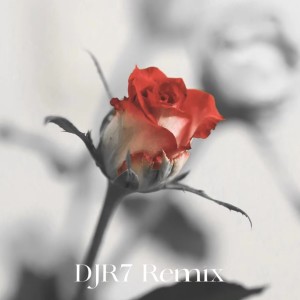 Listen to 羞答答的玫瑰静悄悄的开 (DJR7) song with lyrics from DJR7