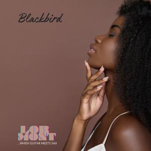 Blackbird (Slow Jazz Version)