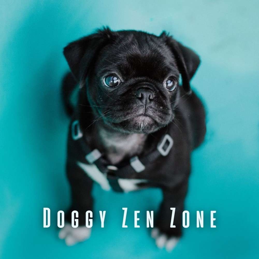 Doggy Dream Escape