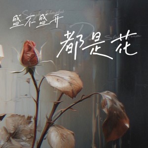 收聽何雅楠的盛不盛開都是花 (完整版)歌詞歌曲