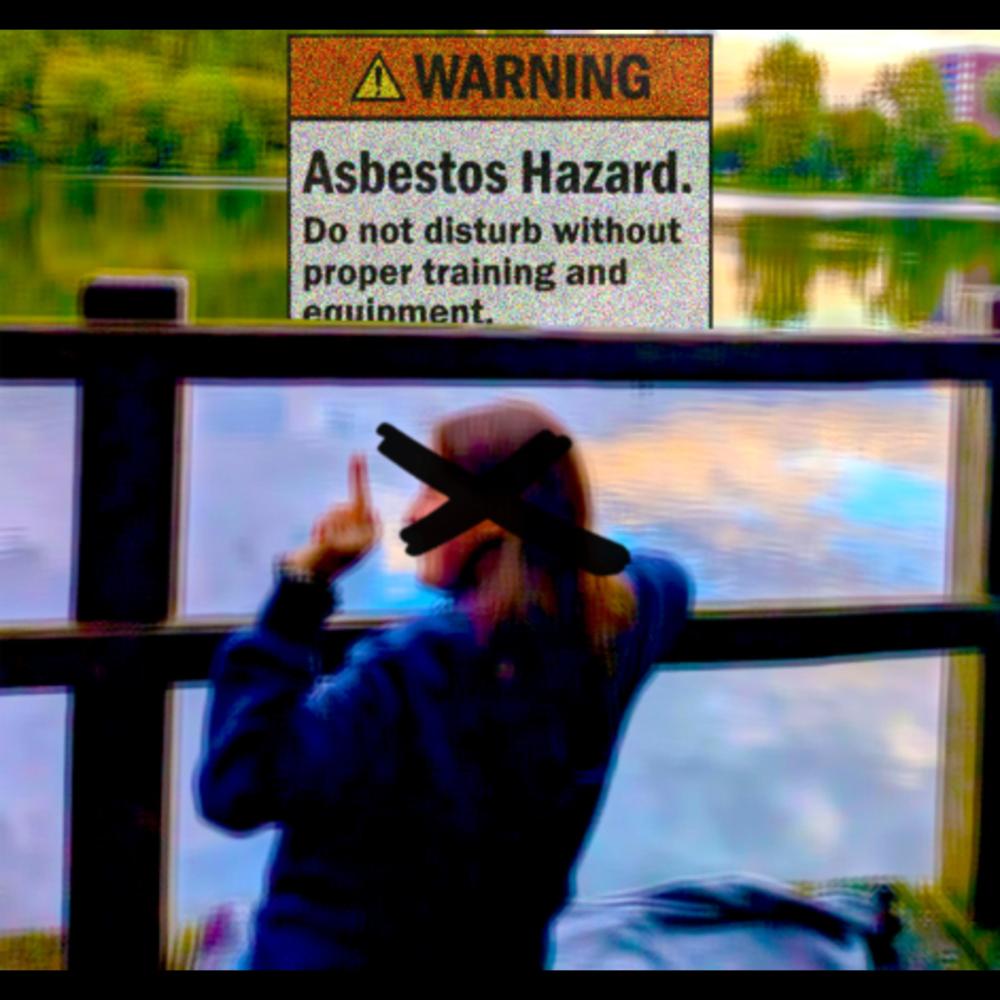 Asbestos Hazard (Explicit)