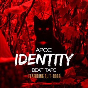 Listen to Back to 1999 song with lyrics from Apoc
