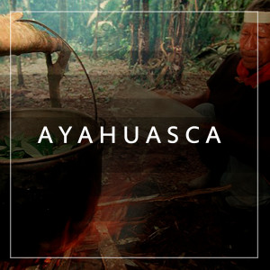 Album Ayahuasca from Pumaia