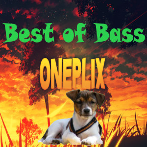 Oneplix的專輯Best of Bass
