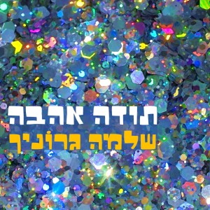 Album תודה אהבה from שלמה גרוניך