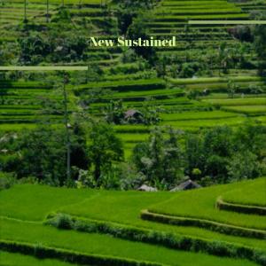 อัลบัม New Sustained ศิลปิน Various