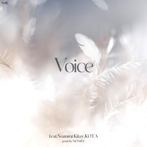 Album Voice (feat. Nozomi Kitay & KOTA) from USU