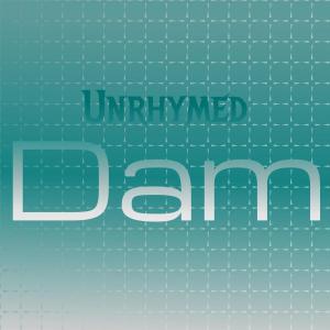 Various Artists的專輯Unrhymed Dam