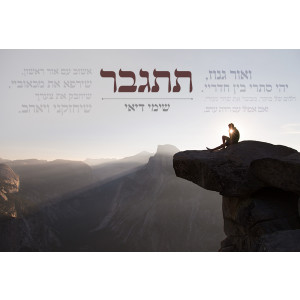Listen to Titgaber song with lyrics from שימי דיאי
