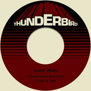 Junior Wells的專輯Snatch It Back and Hold It