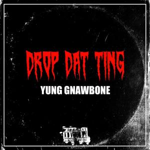 收聽Yung Gnawbone的Drop Dat Ting (Explicit)歌詞歌曲
