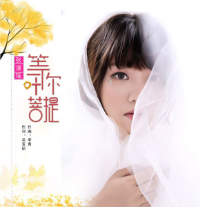 收聽張潼瑤的等你一葉菩提 (伴奏)歌詞歌曲