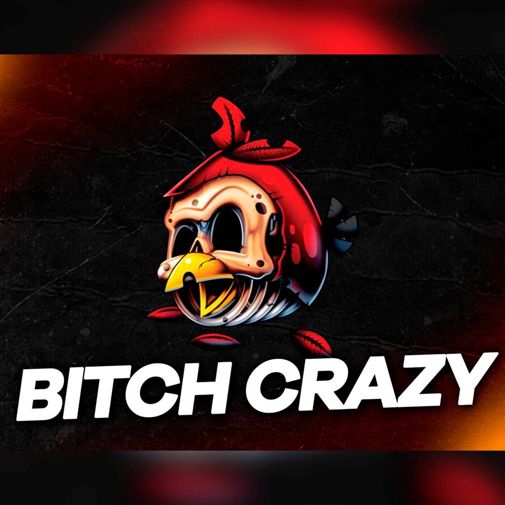 Bitch Crazy (remix)