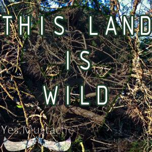 Album This Land is Wild (feat. L.O.W.) from 