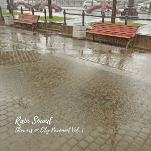 Calm Ocean Sounds的專輯Rain Sound: Showers on City Pavement Vol. 1