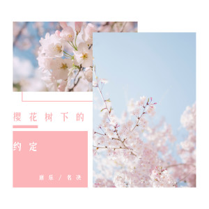 收听康乐的樱花树下的约定 (咚鼓版)歌词歌曲
