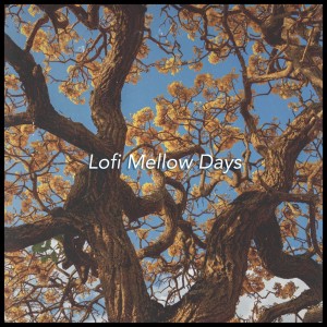 Album Lofi Mellow Days from lofichill