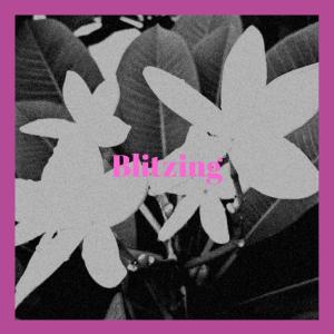 Listen to Aged Pull song with lyrics from Gila Wilz