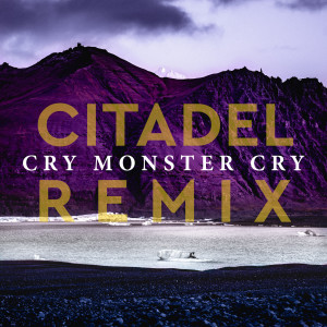 Cry Monster Cry的专辑Citadel (Richey McCourt Remix)