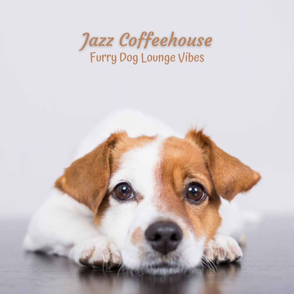 Cadence Of Curious Canines