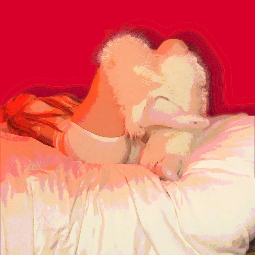 Dein Bett