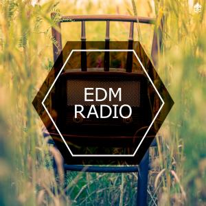 Listen to Neon Lights(feat. Aubrey Whitfield)[with Jesús Muñoz] song with lyrics from CelDro