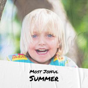 Album Most Joyful Summer from Various