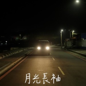 Album 月光长袖 from Any 安伟