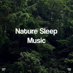 Album "!!! Nature Sleep Music !!!" oleh Deep Sleep