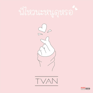 อัลบัม พี่ไหวนะ หนูดุหรอ - Single ศิลปิน TVAN