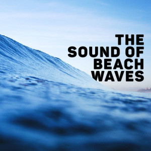 อัลบัม The Sound of Beach Waves ศิลปิน Beach Waves Specialists