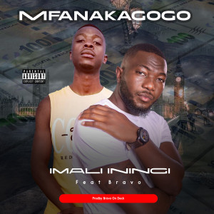 Mfanakagogo的專輯Imali Iningi (Explicit)