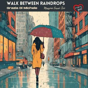 Album Walk between raindrops from Grazia Di Michele