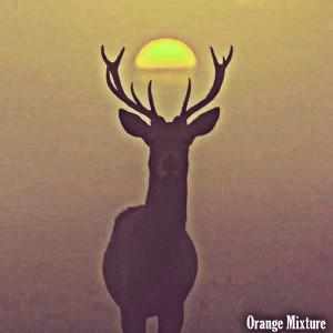 DJ Isaac的專輯Orange Mixture