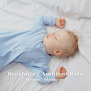 อัลบัม Becalming Ambient Rain: Dreaming Little Baby Vol. 1 ศิลปิน Baby Shark